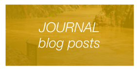 JOURNAL 
blog posts